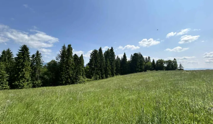 Działka rolna Łapsze Niżne Za Czarną Górą