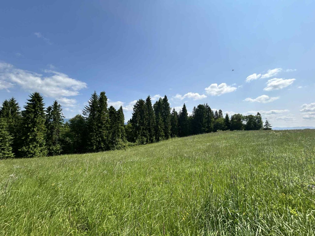 Działka rolna Łapsze Niżne Za Czarną Górą