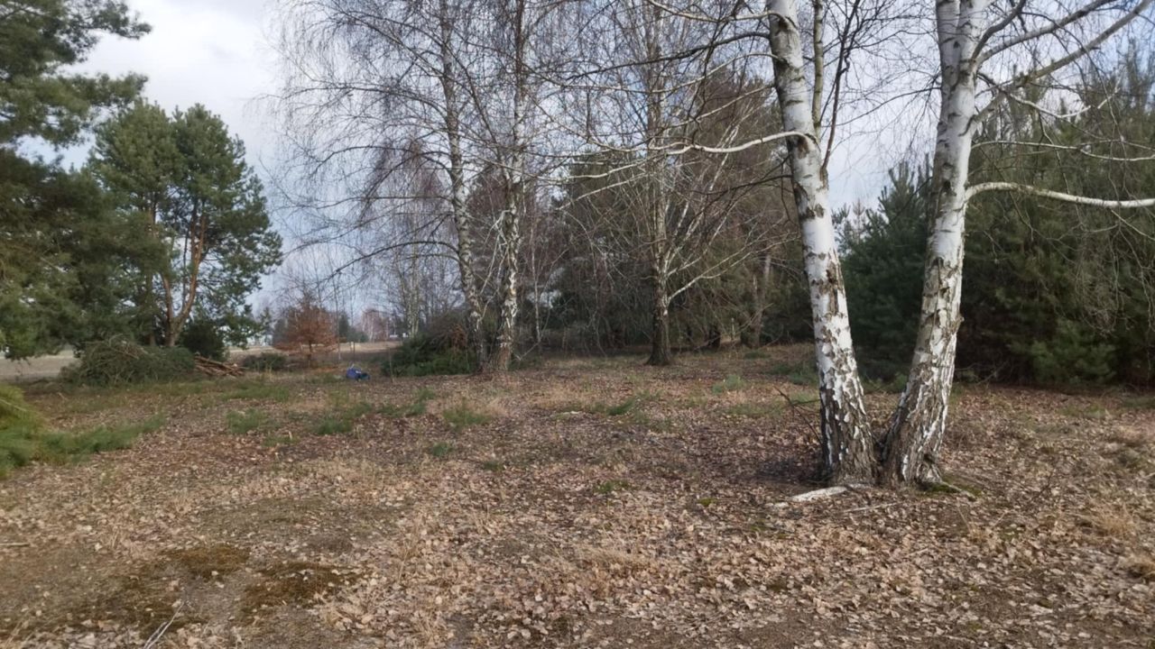 Działka budowlana Łuszczów Pierwszy. Zdjęcie 6