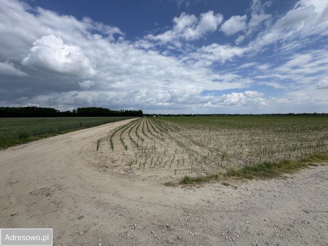 Działka inwestycyjna Kórnik, pl. Browarowy. Zdjęcie 1
