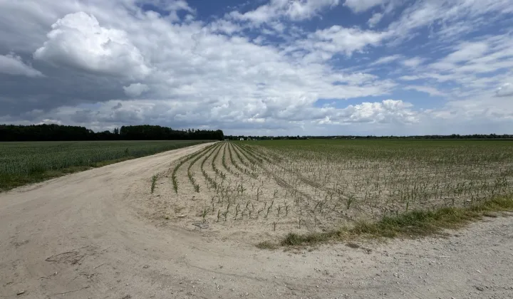 Działka inwestycyjna Kórnik, pl. Browarowy