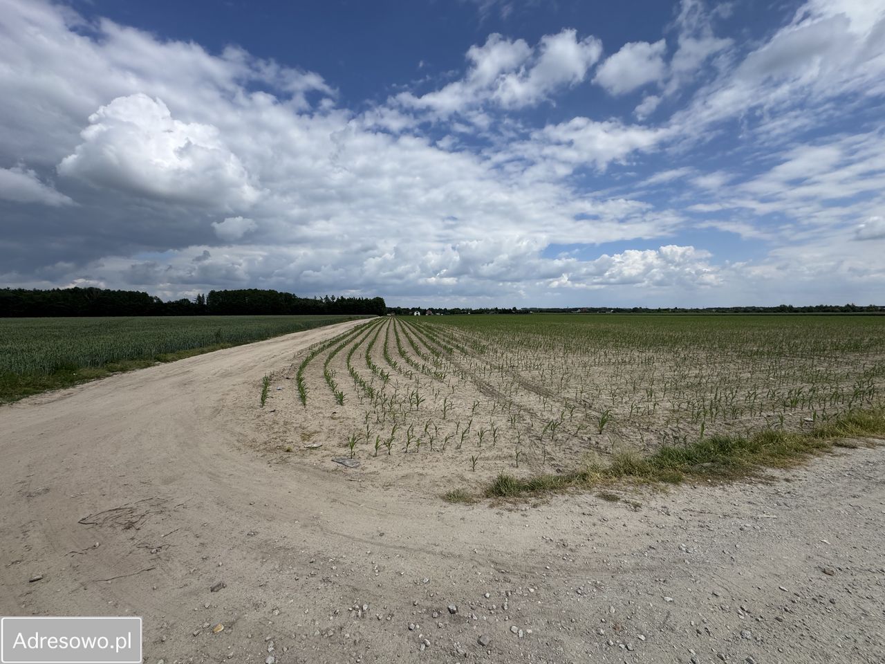 Działka inwestycyjna Kórnik, pl. Browarowy. Zdjęcie 1