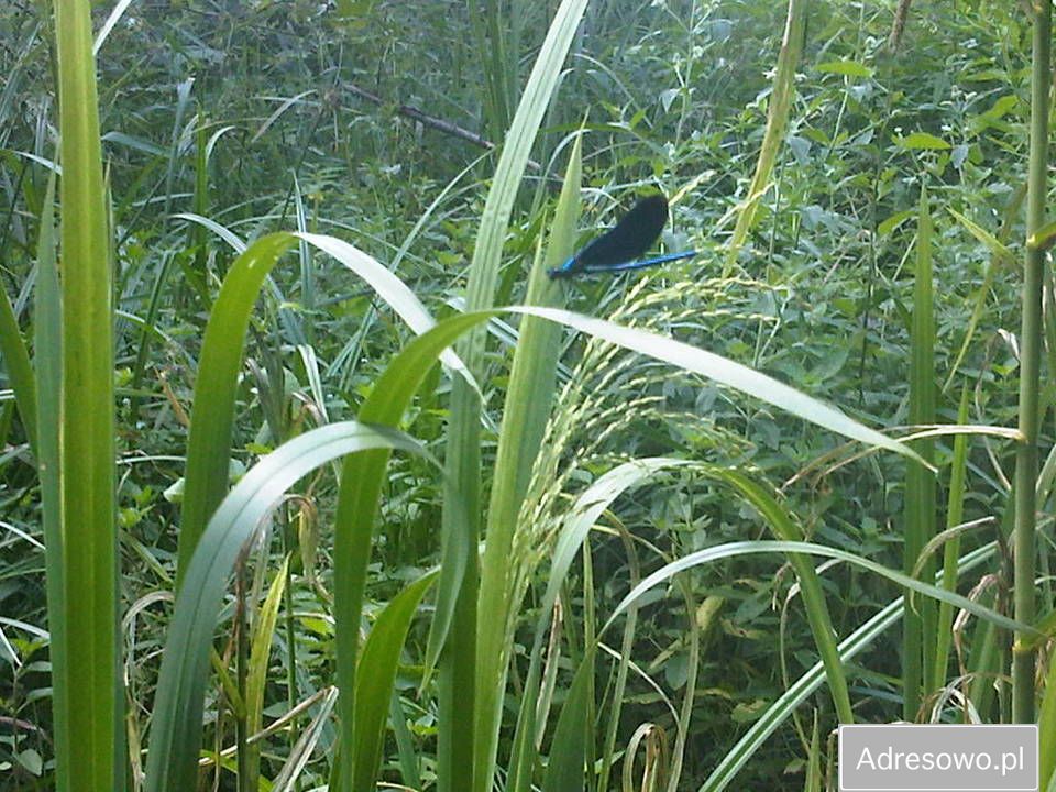 Działka inwestycyjna Hola. Zdjęcie 5