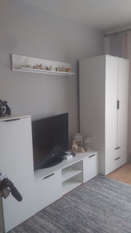 dom wolnostojący, 3 pokoje Rawa Mazowiecka Aleksandrówka, ul. Zamkowa Wola. Zdjęcie 1