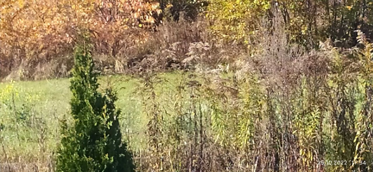 Działka budowlana Radomsko. Zdjęcie 3