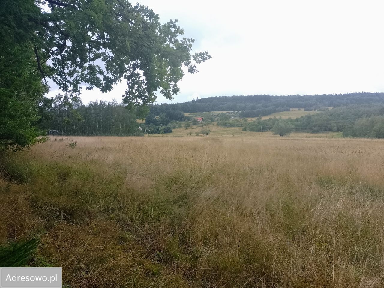 Działka budowlana Długopole Dolne. Zdjęcie 11