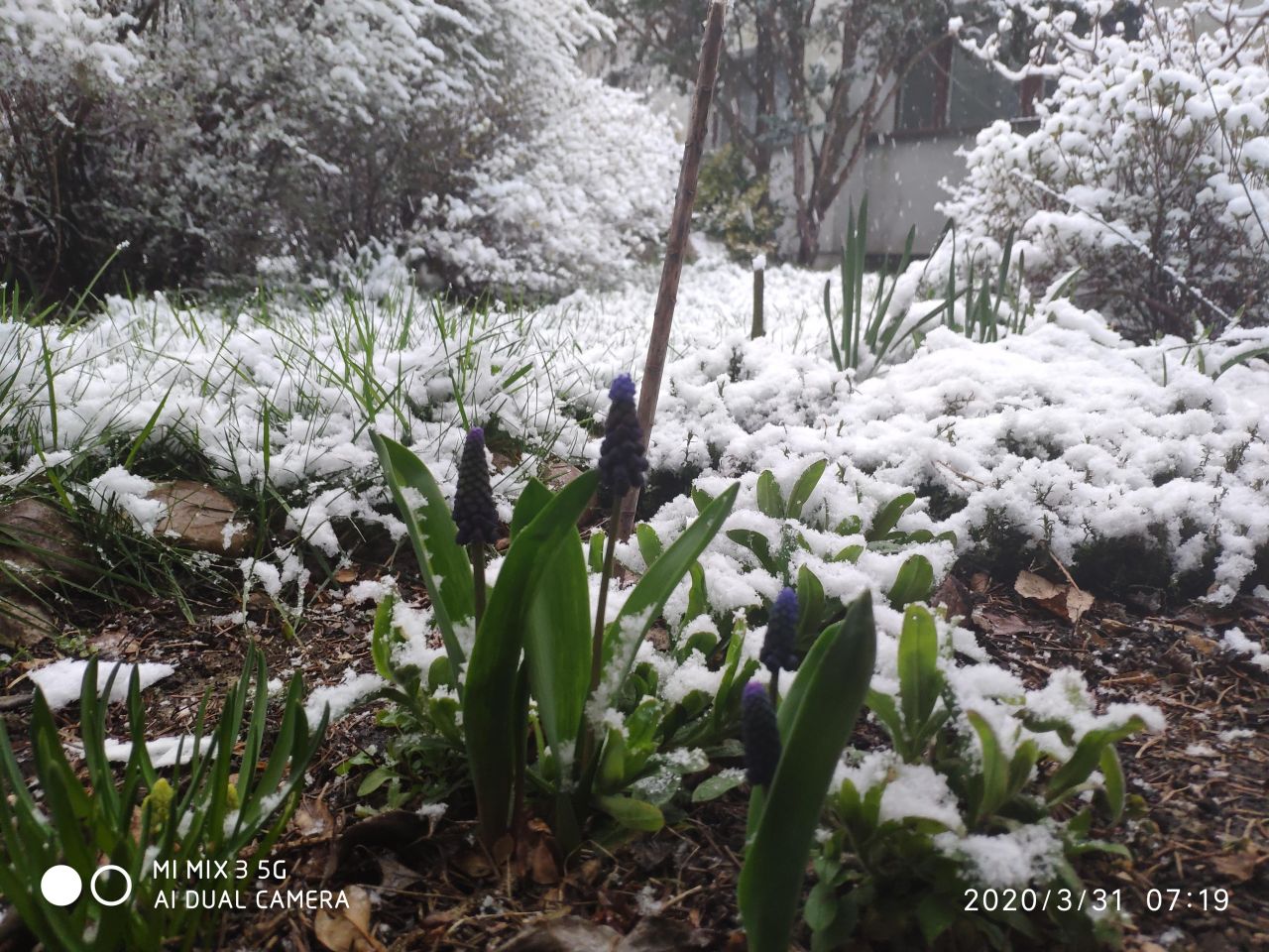 dom wolnostojący, 12 pokoi Radwanice, ul. Konstantego Ildefonsa Gałczyńskiego. Zdjęcie 27