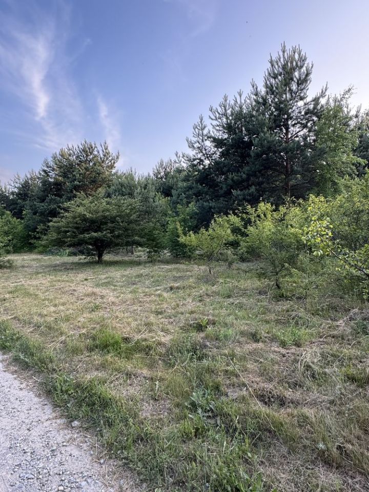 Działka rolna Piotrkowice. Zdjęcie 8