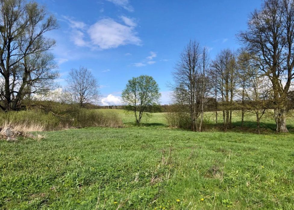 Działka rolna Zalec. Zdjęcie 4