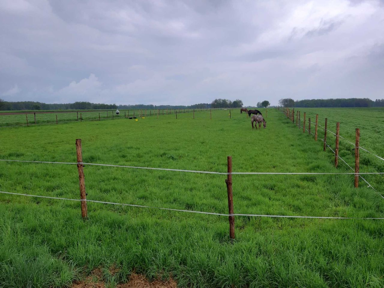 gospodarstwo Natolin. Zdjęcie 2