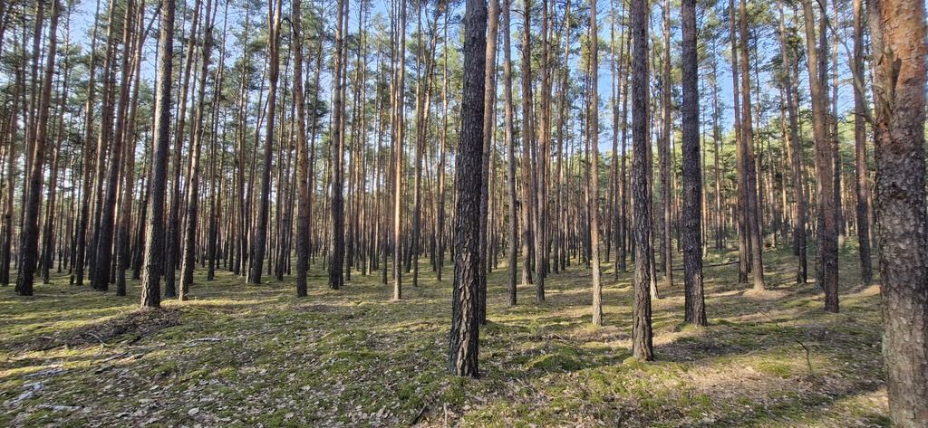 Działka rekreacyjna Osiedle Wilga. Zdjęcie 5