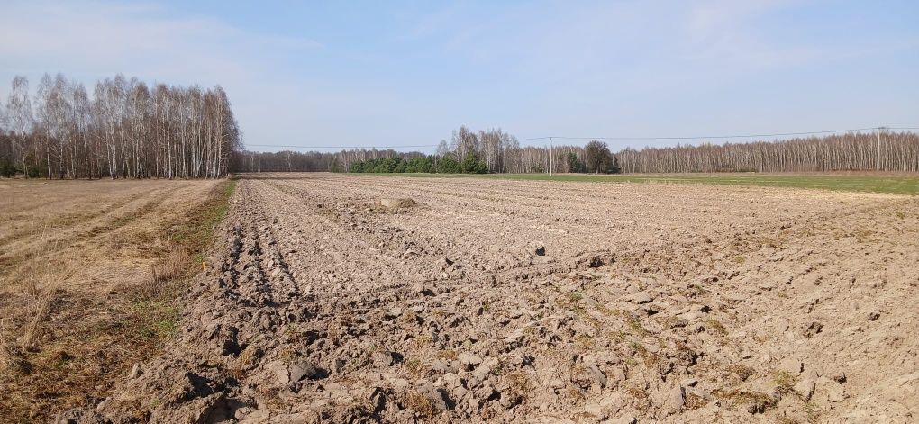 Działka budowlana Boża Wola. Zdjęcie 6