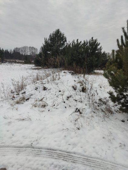 Działka budowlana Chwałowice. Zdjęcie 2