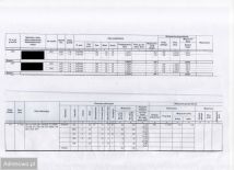 Działka leśna Możne. Zdjęcie 1