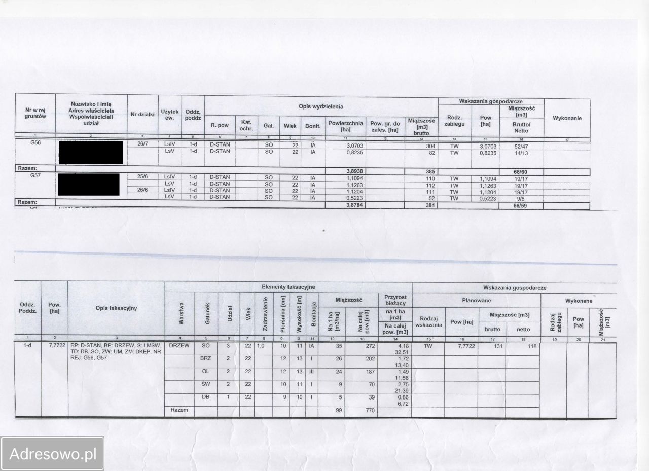 Działka leśna Możne. Zdjęcie 2