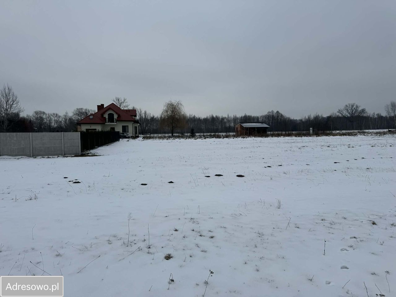 Działka rolno-budowlana Aleksandria. Zdjęcie 3