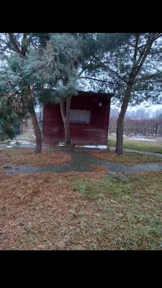 Działka rekreacyjna Biała Góra. Zdjęcie 4