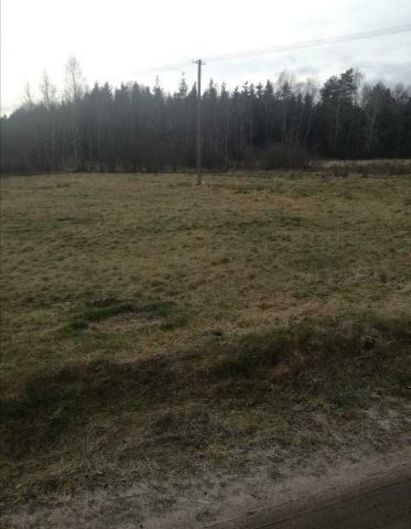 Działka rolno-budowlana Czumsk Duży. Zdjęcie 1
