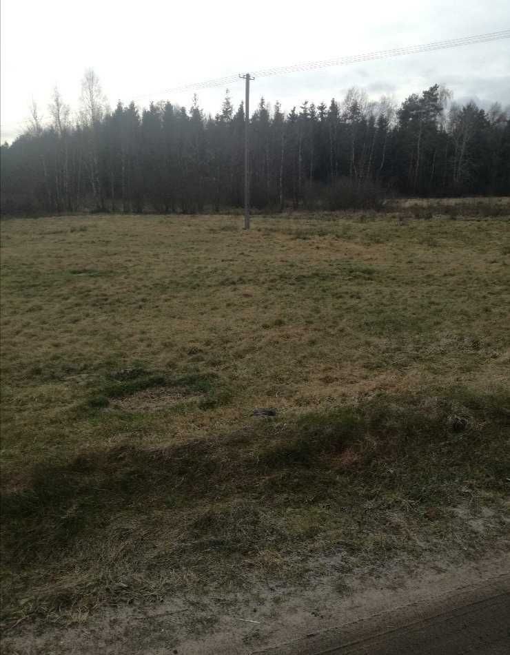 Działka rolno-budowlana Czumsk Duży. Zdjęcie 1