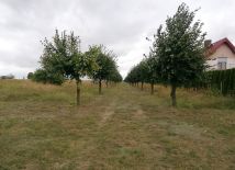 Działka budowlana Piotrowice, ul. Słupecka. Zdjęcie 2