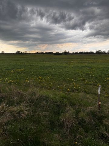 Działka rolno-budowlana Deszczno, ul. Nagietkowa. Zdjęcie 1