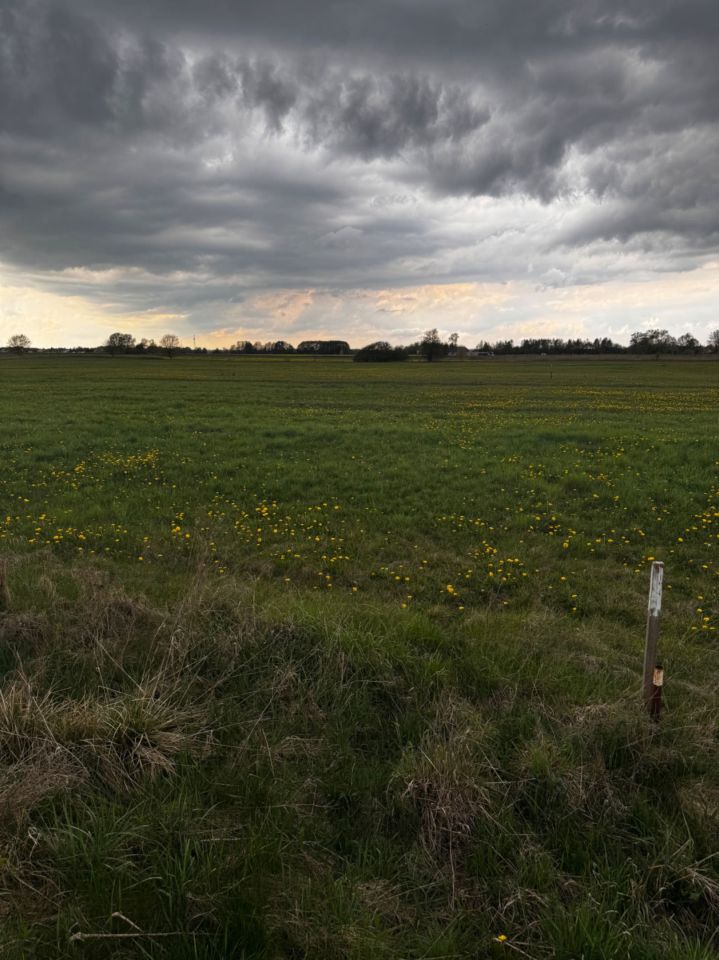Działka rolno-budowlana Deszczno, ul. Nagietkowa