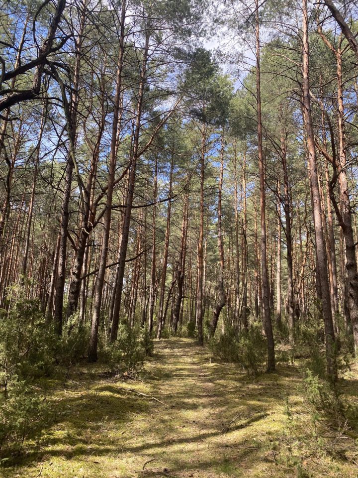 Działka rekreacyjna Popowo-Letnisko, ul. Chmielna. Zdjęcie 5