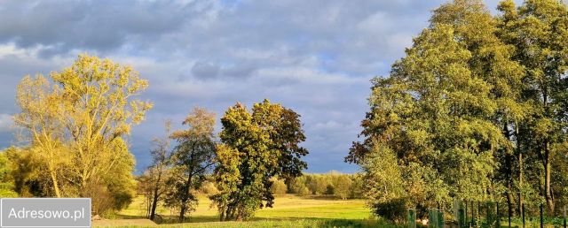 Działka rolno-budowlana Osmolice Pierwsze. Zdjęcie 1