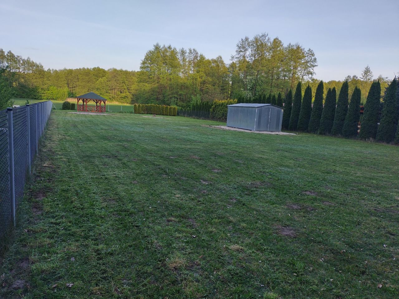 Działka rolna Drwalew. Zdjęcie 1