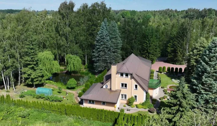 dom wolnostojący, 12 pokoi Ługwałd, ul. Mikołaja Kopernika