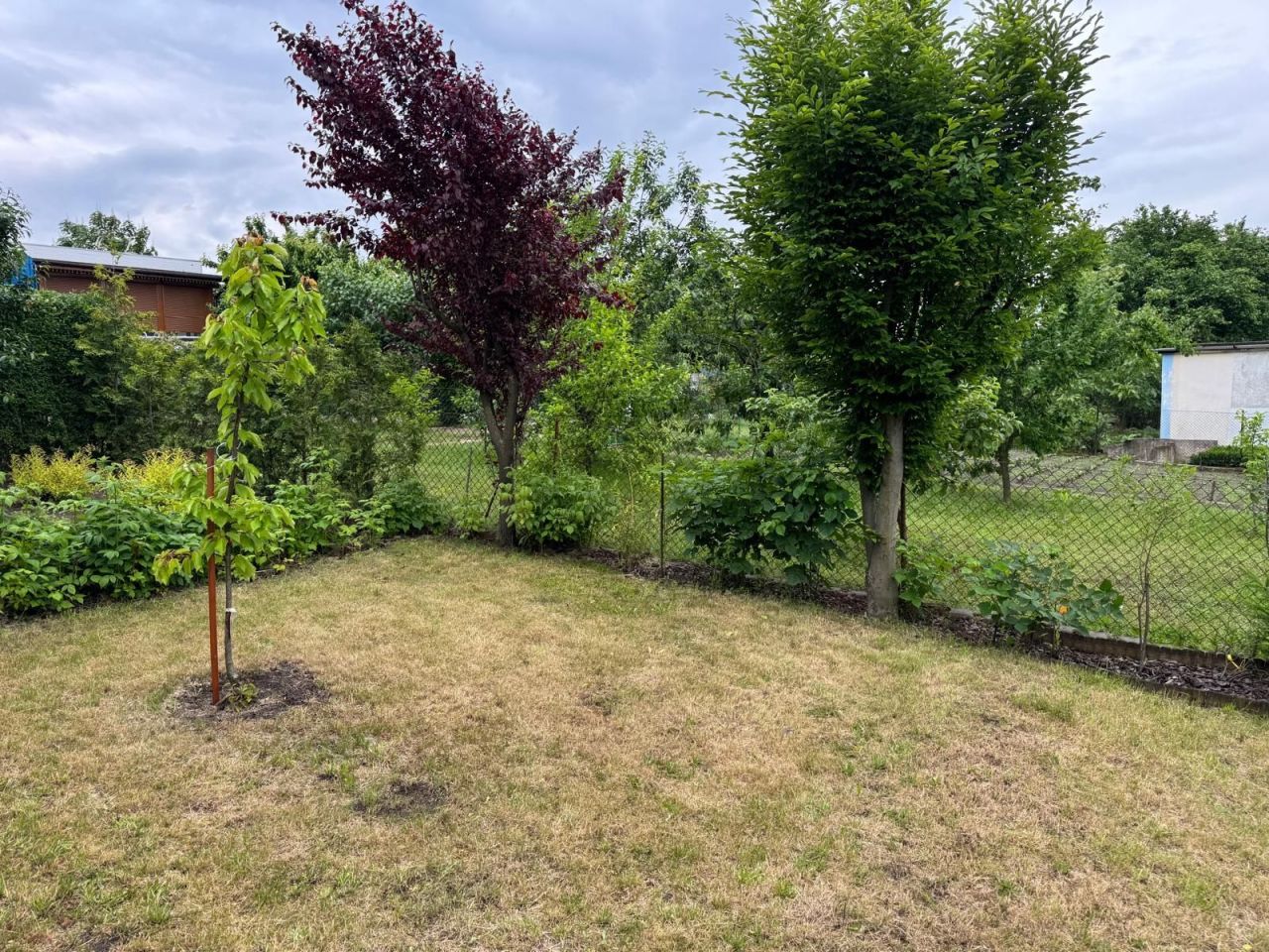 Działka rod Gniezno. Zdjęcie 4