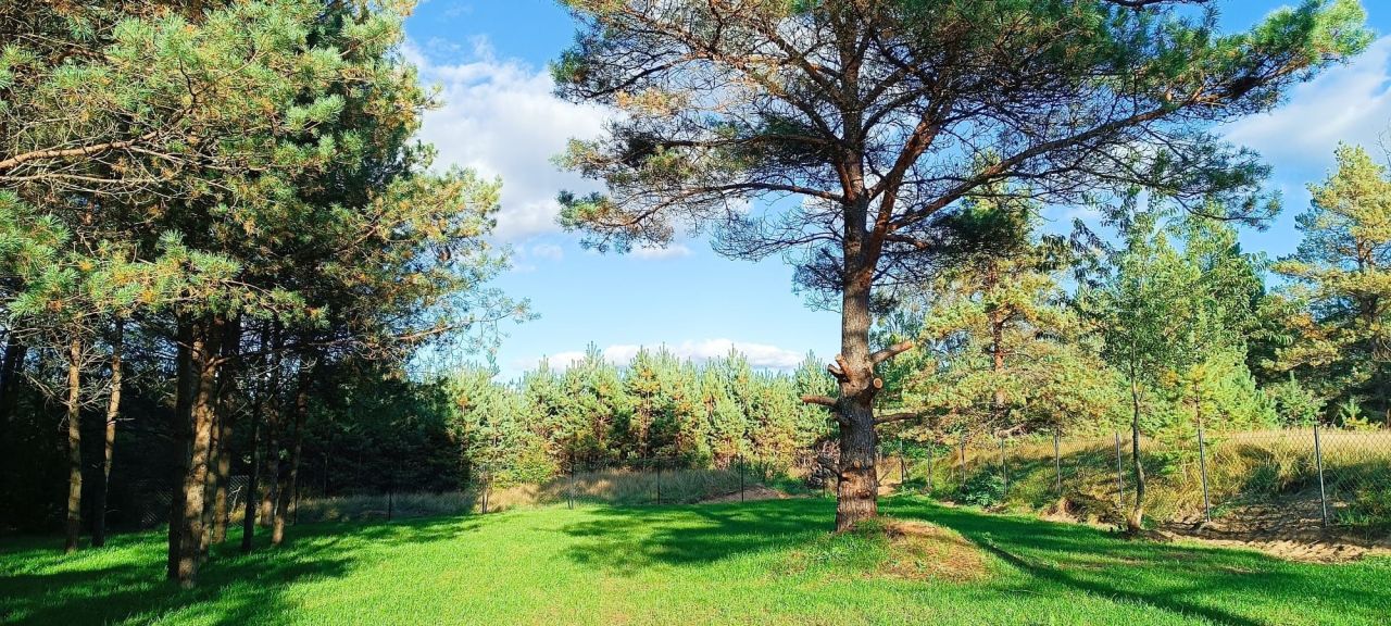 Działka budowlana Sucha Rzeczka. Zdjęcie 3