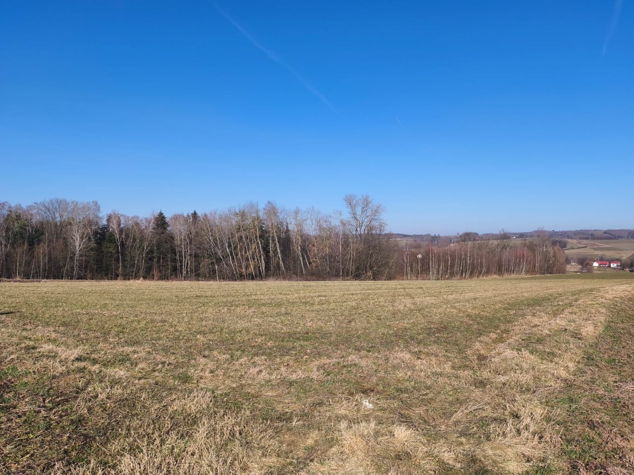 Działka rolna Dębowa. Zdjęcie 3