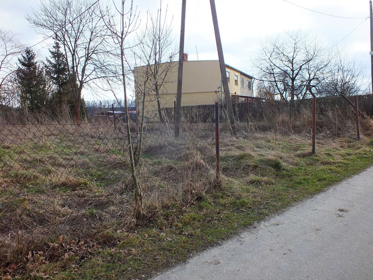 Działka Szalejów Górny. Zdjęcie 8