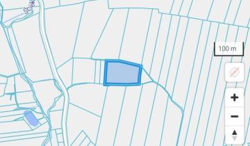 Działka rolna Dalewice