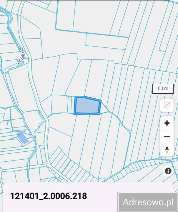 Działka rolna Dalewice. Zdjęcie 2