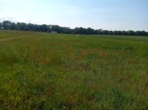 Działka rolna Trzebawie. Zdjęcie 1