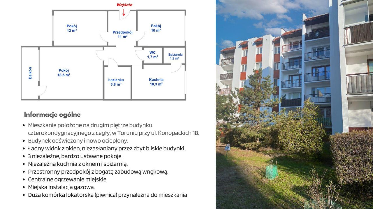 Mieszkanie 3-pokojowe Toruń Jakubskie Przedmieście, ul. Konopackich. Zdjęcie 2
