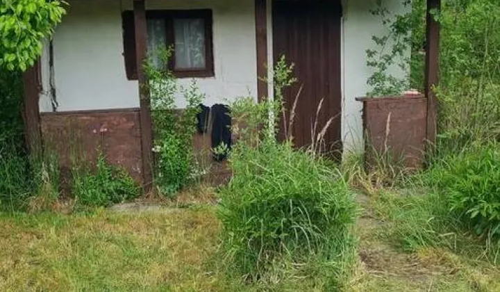 Działka rod Oława, ul. Oleśnicka
