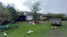 Działka rolna Brzezówka, Brzezówka. Zdjęcie 2