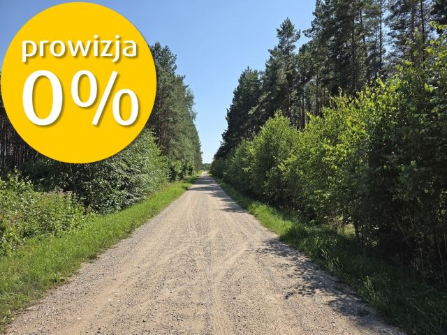 Działka Solniki. Zdjęcie 3