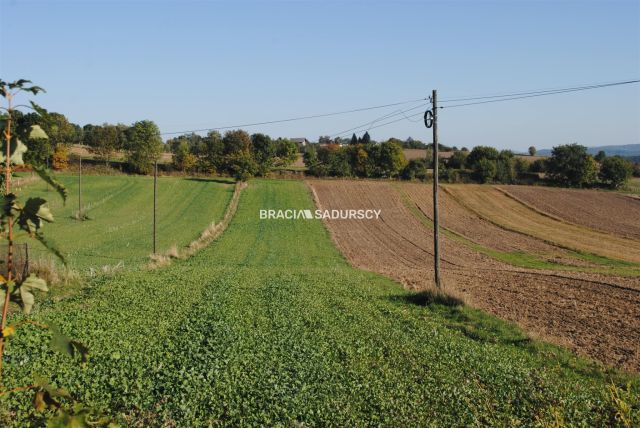 Działka rolno-budowlana Brzezie. Zdjęcie 2
