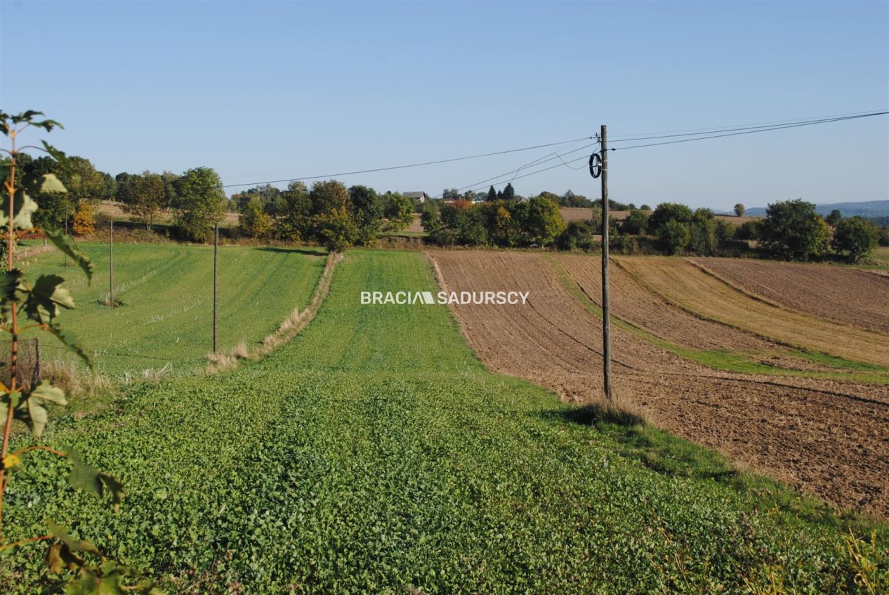 Działka rolno-budowlana Brzezie. Zdjęcie 2