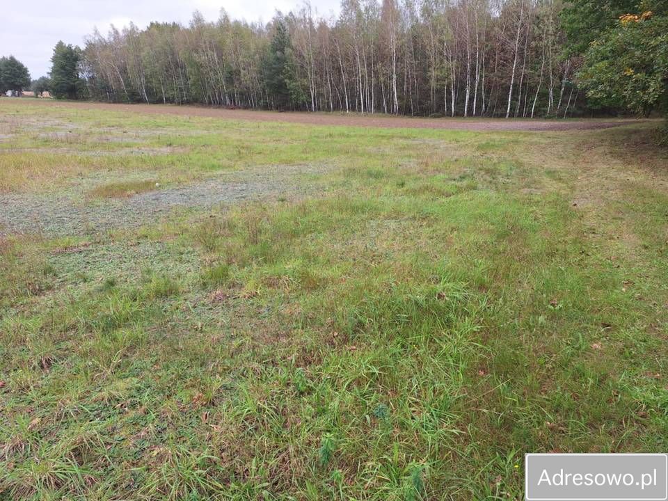 Działka budowlana Świdrówka. Zdjęcie 4