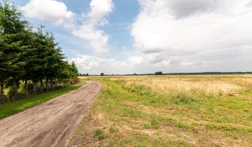 Działka rolna Rurzyca, ul. Łąkowa