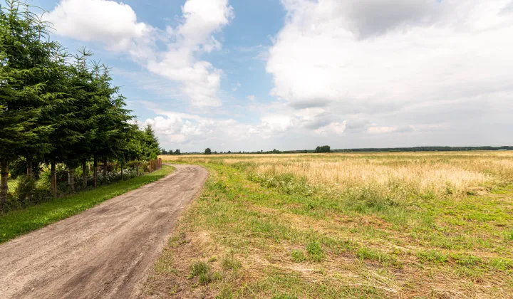 Działka rolna Rurzyca, ul. Łąkowa