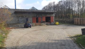 Hala/magazyn Łask, ul. Warszawska