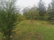 Działka rod Szczecin Gumieńce, ul. Tadeusza Szeligowskiego. Zdjęcie 2