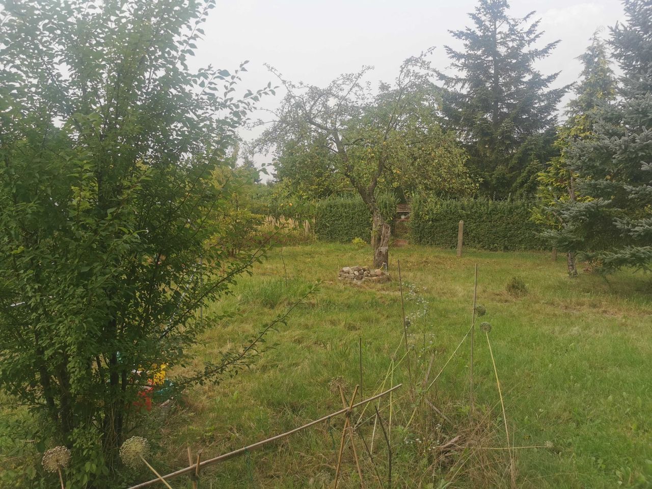 Działka rod Szczecin Gumieńce, ul. Tadeusza Szeligowskiego. Zdjęcie 3