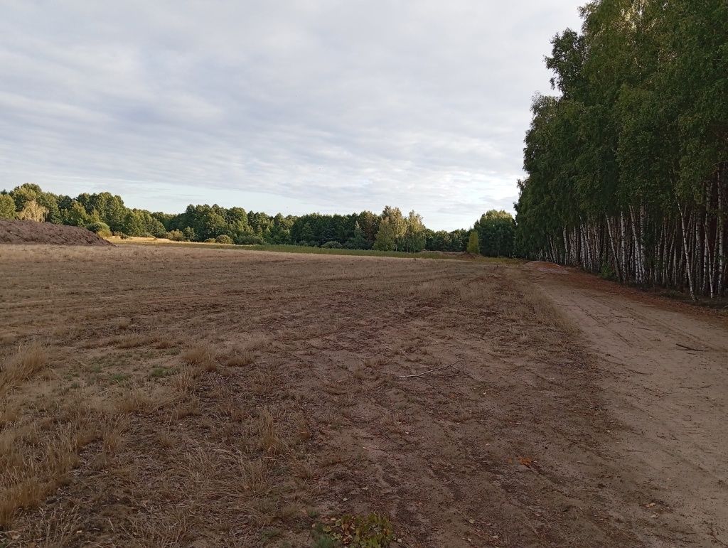 Działka budowlana Szczawin Kościelny. Zdjęcie 2